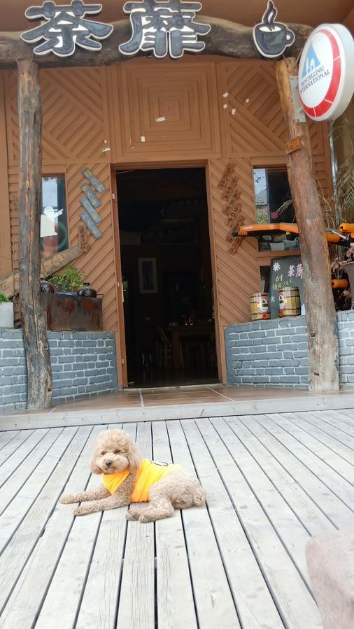 Dengfeng Climb International Youth Hostel Exterior photo